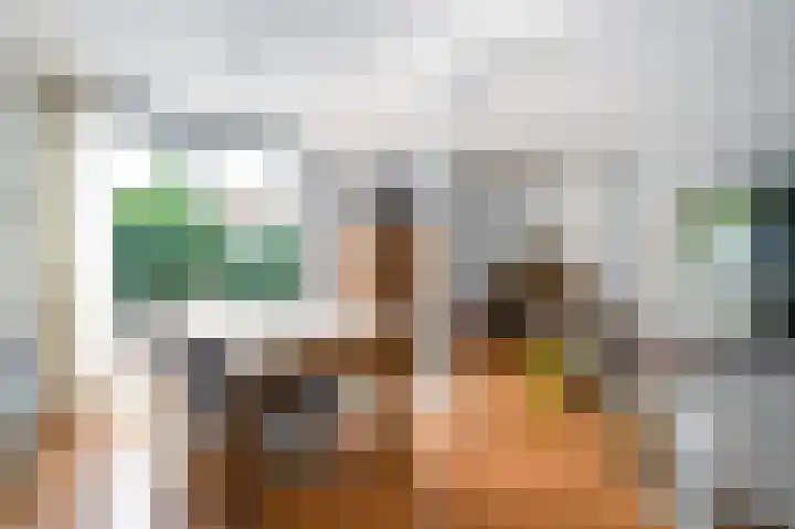 Piet Krollaan 12 Den Haag thumbnail 9