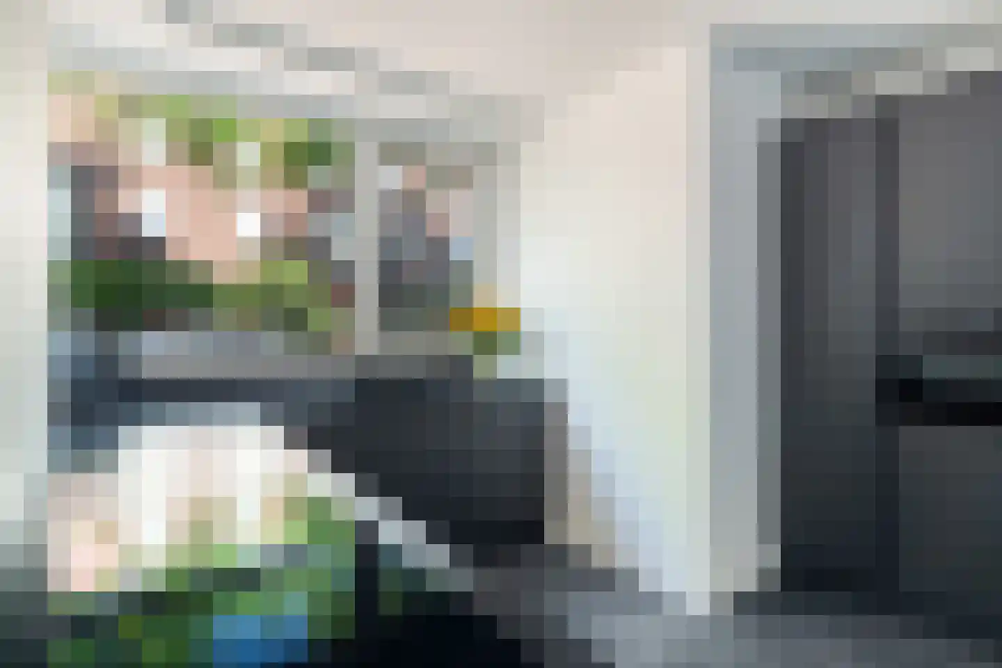 Piet Krollaan 37 Den Haag thumbnail 12