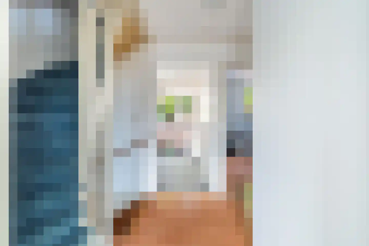 Piet Krollaan 37 Den Haag thumbnail 19