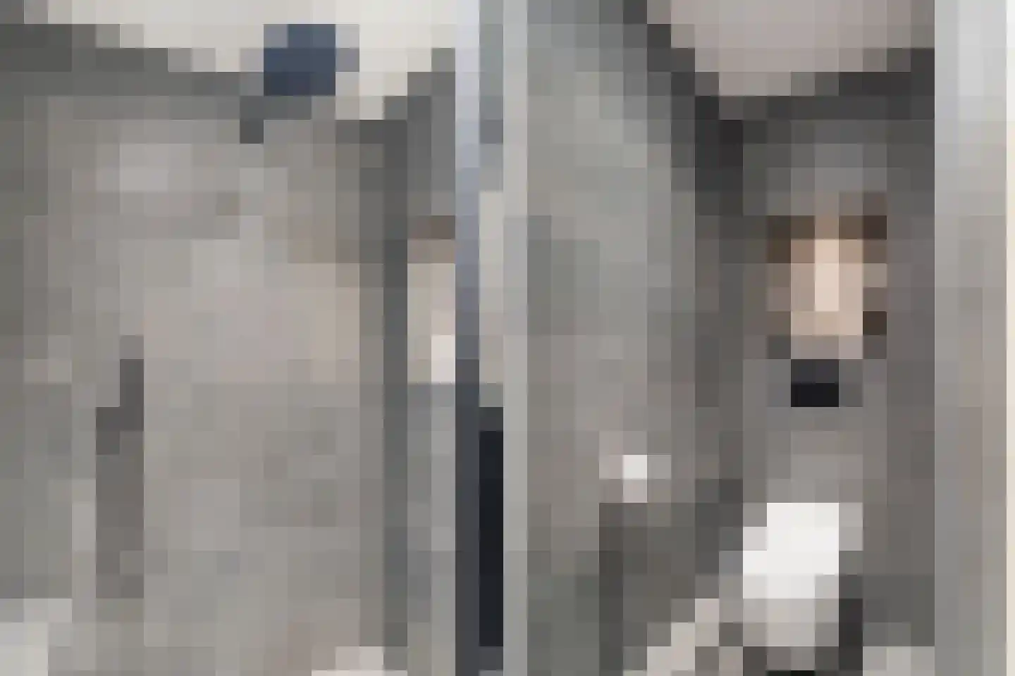 Piet Krollaan 37 Den Haag thumbnail 29