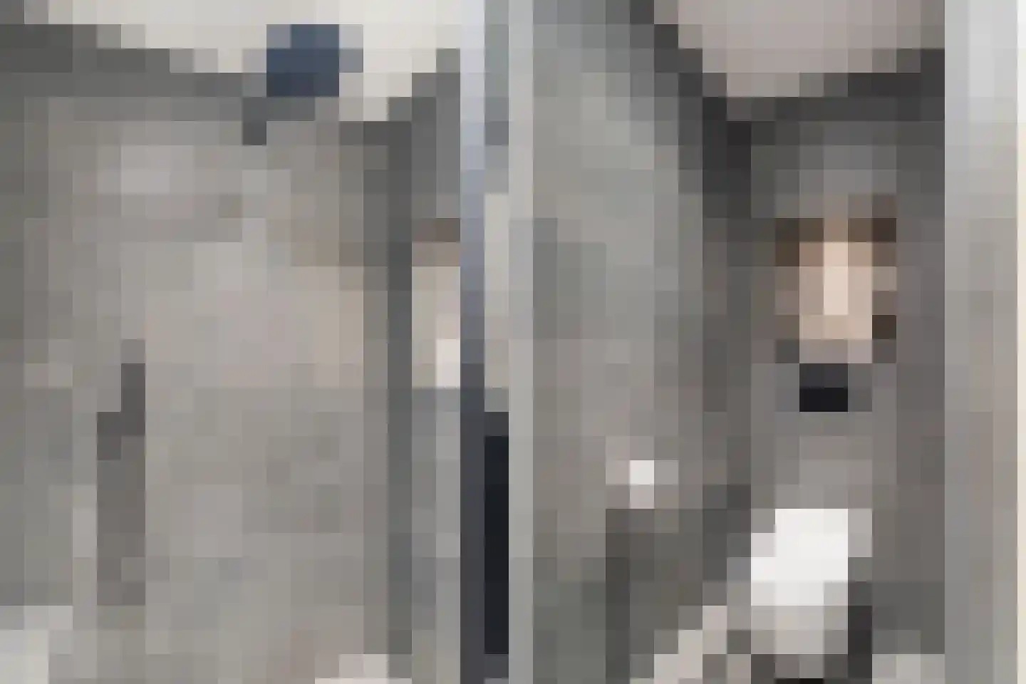 Piet Krollaan 37 Den Haag thumbnail 30
