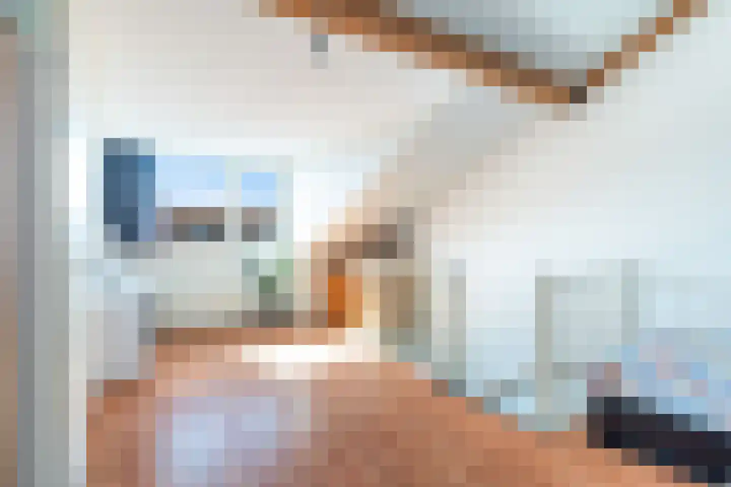 Piet Krollaan 37 Den Haag thumbnail 30