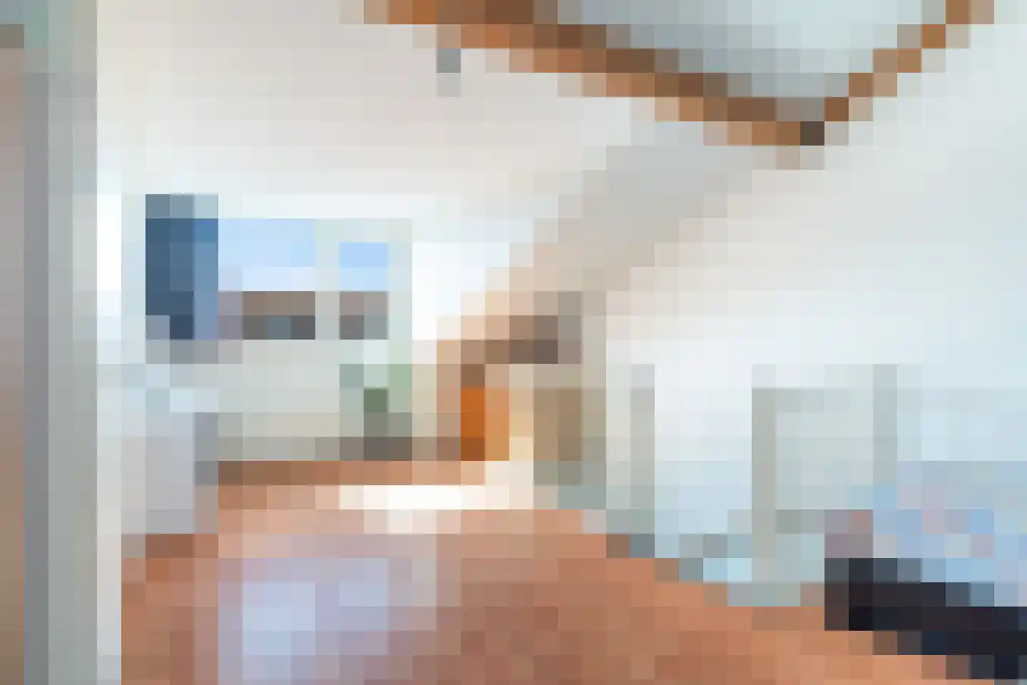 Piet Krollaan 37 Den Haag thumbnail 31
