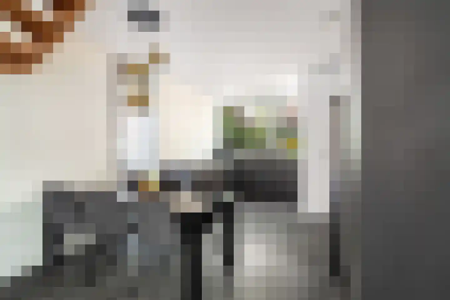 Piet Krollaan 37 Den Haag thumbnail 4