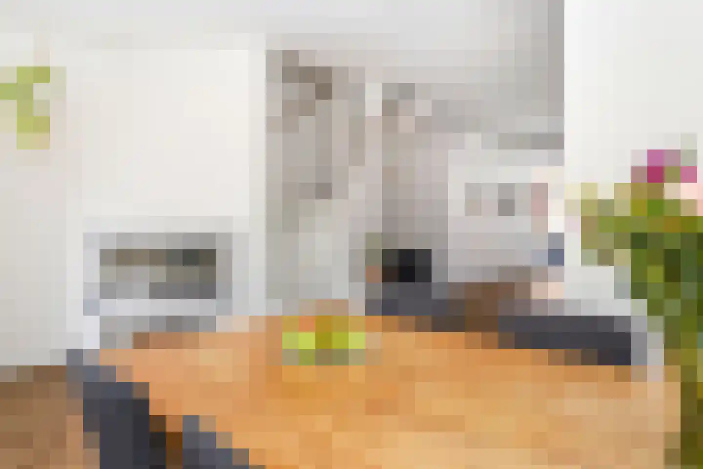 Piet Krollaan 6 Den Haag thumbnail 17
