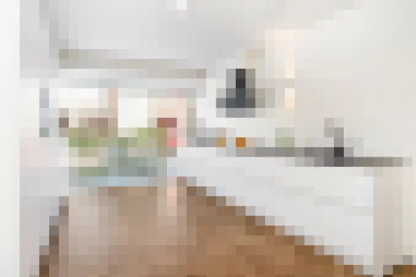 Piet Krollaan 6 Den Haag thumbnail 19
