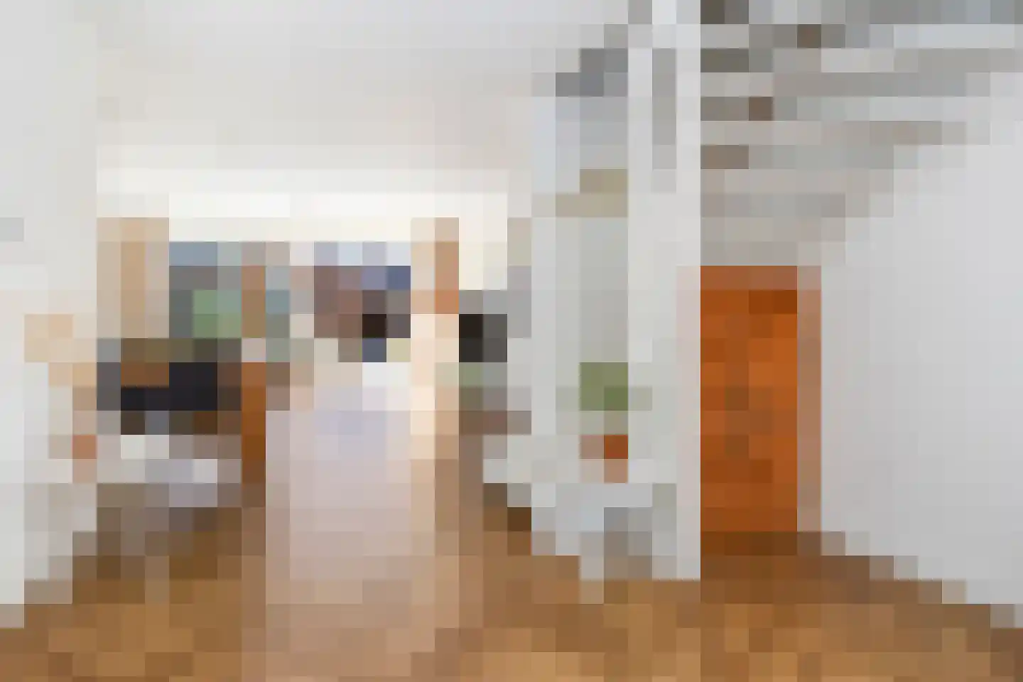 Piet Krollaan 6 Den Haag thumbnail 21