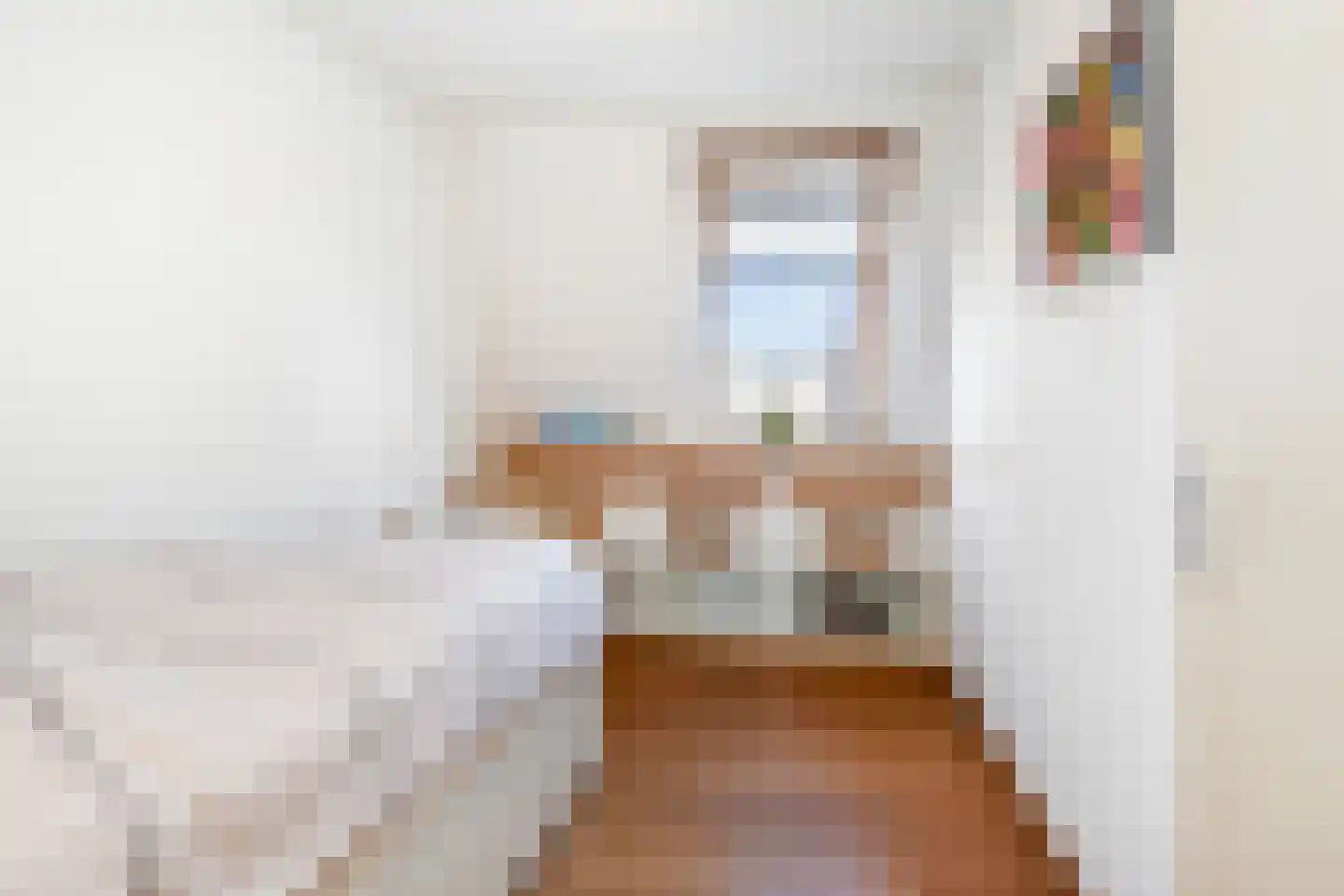 Piet Krollaan 6 Den Haag thumbnail 23