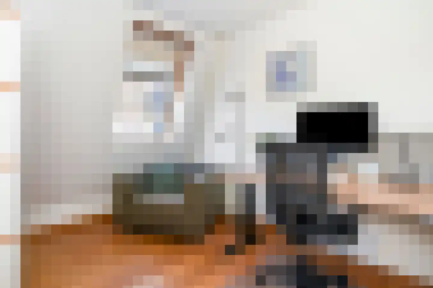 Piet Krollaan 6 Den Haag thumbnail 24