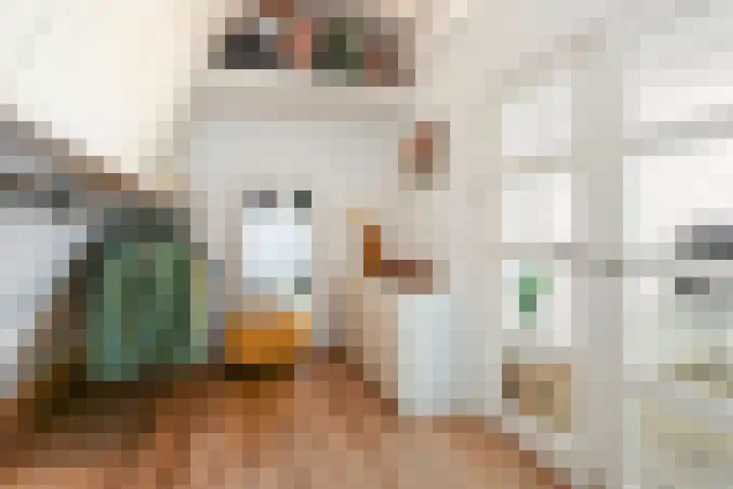 Piet Krollaan 6 Den Haag thumbnail 34
