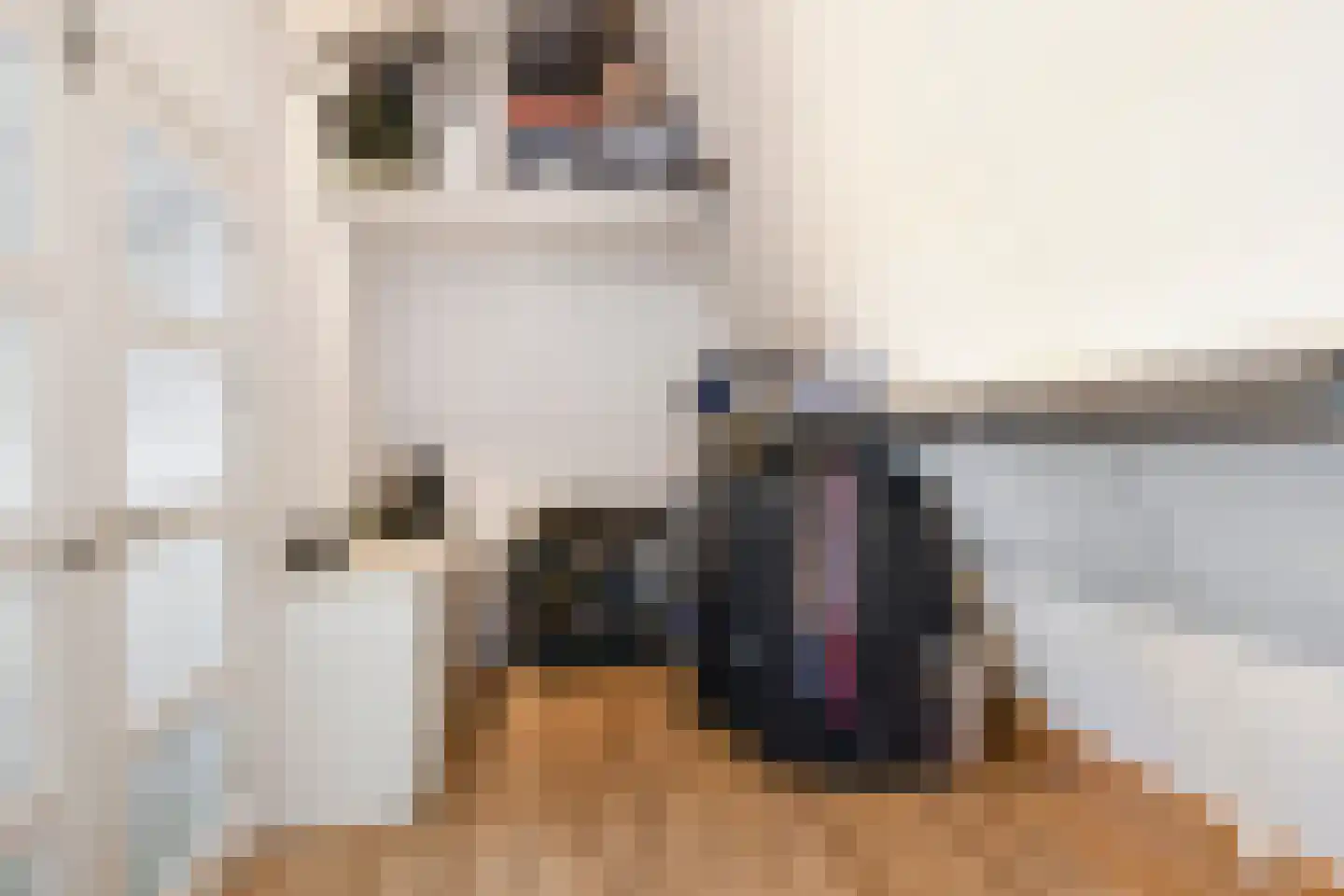 Piet Krollaan 6 Den Haag thumbnail 35