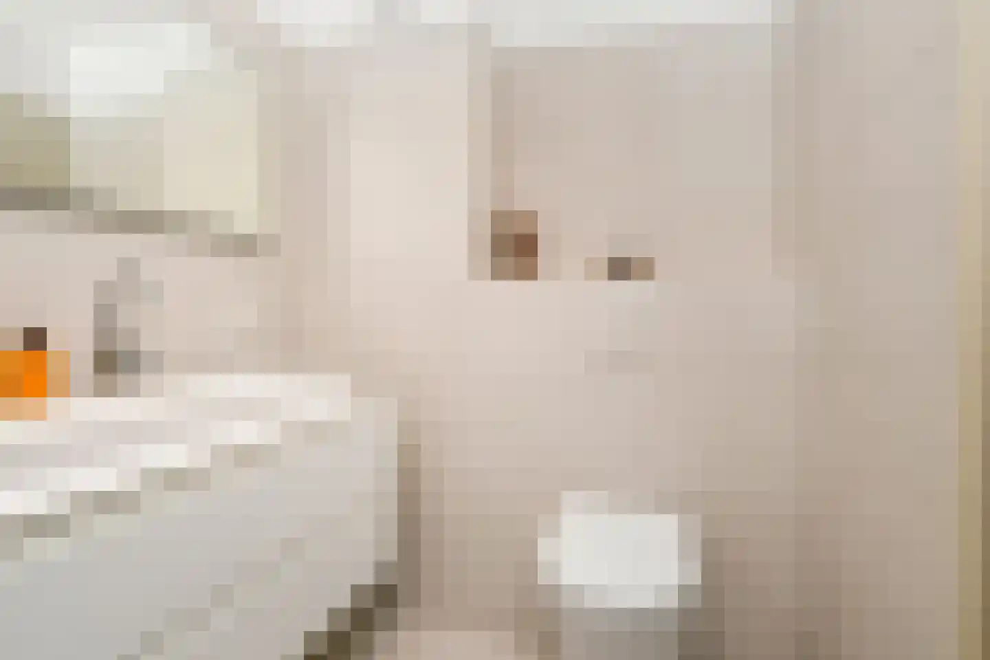 Piet Krollaan 6 Den Haag thumbnail 4