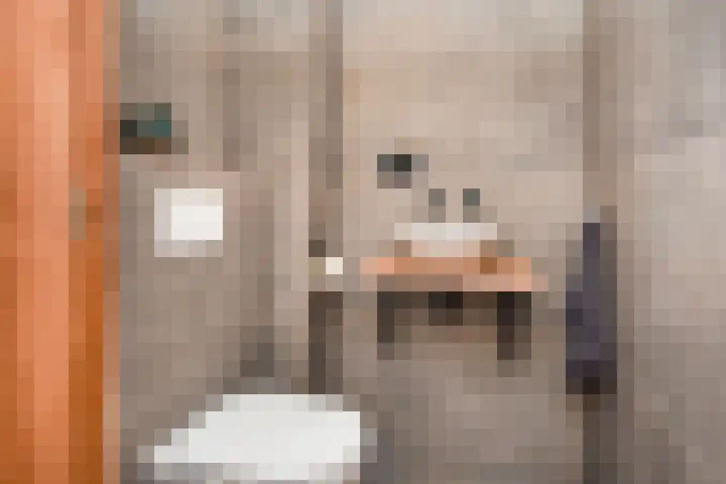 Piet Krollaan 6 Den Haag thumbnail 9