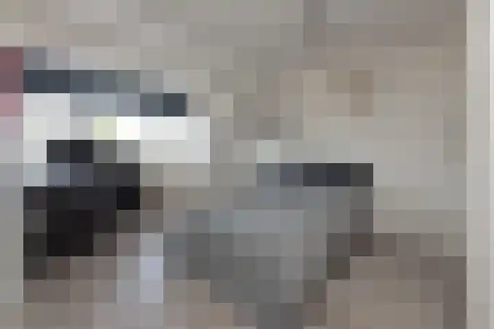 Piet Lanserhof 17 Rijsenhout thumbnail 13