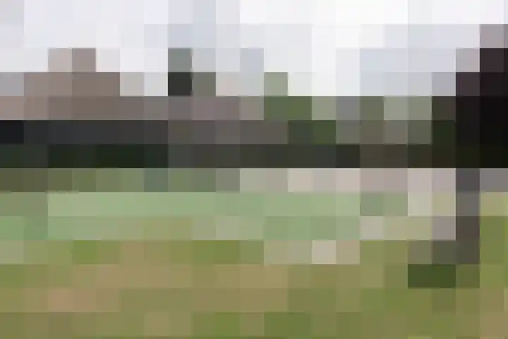 Piet Lanserhof 17 Rijsenhout thumbnail 15