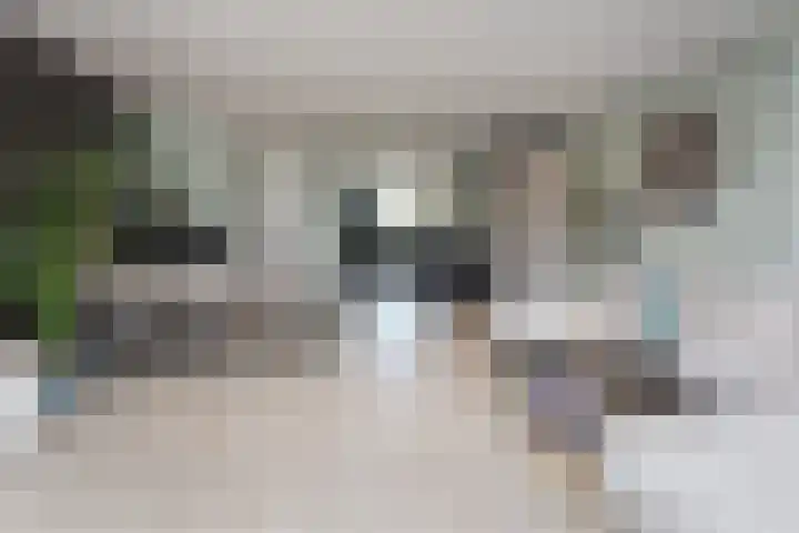 Piet Lanserhof 17 Rijsenhout thumbnail 6