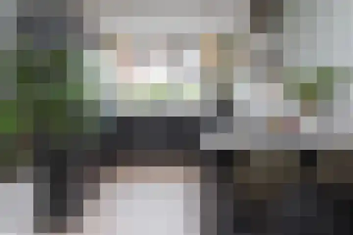 Piet Lanserhof 17 Rijsenhout thumbnail 8