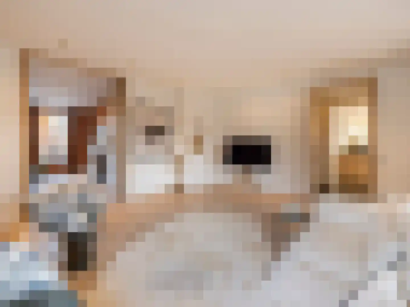 Piet Lanserhof 20 Rijsenhout thumbnail 13