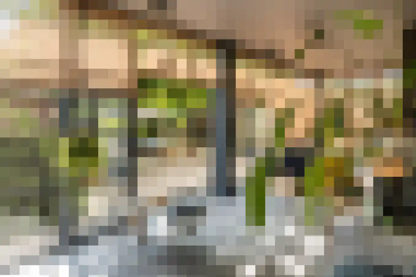 Piet Lanserhof 20 Rijsenhout thumbnail 15