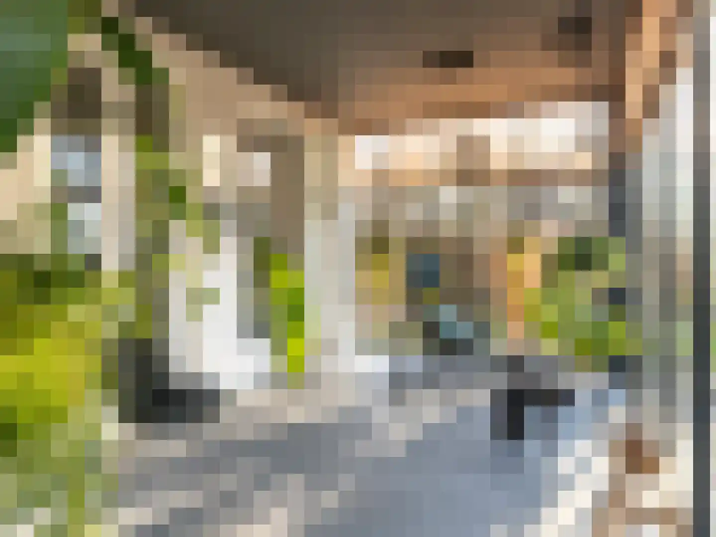 Piet Lanserhof 20 Rijsenhout thumbnail 16