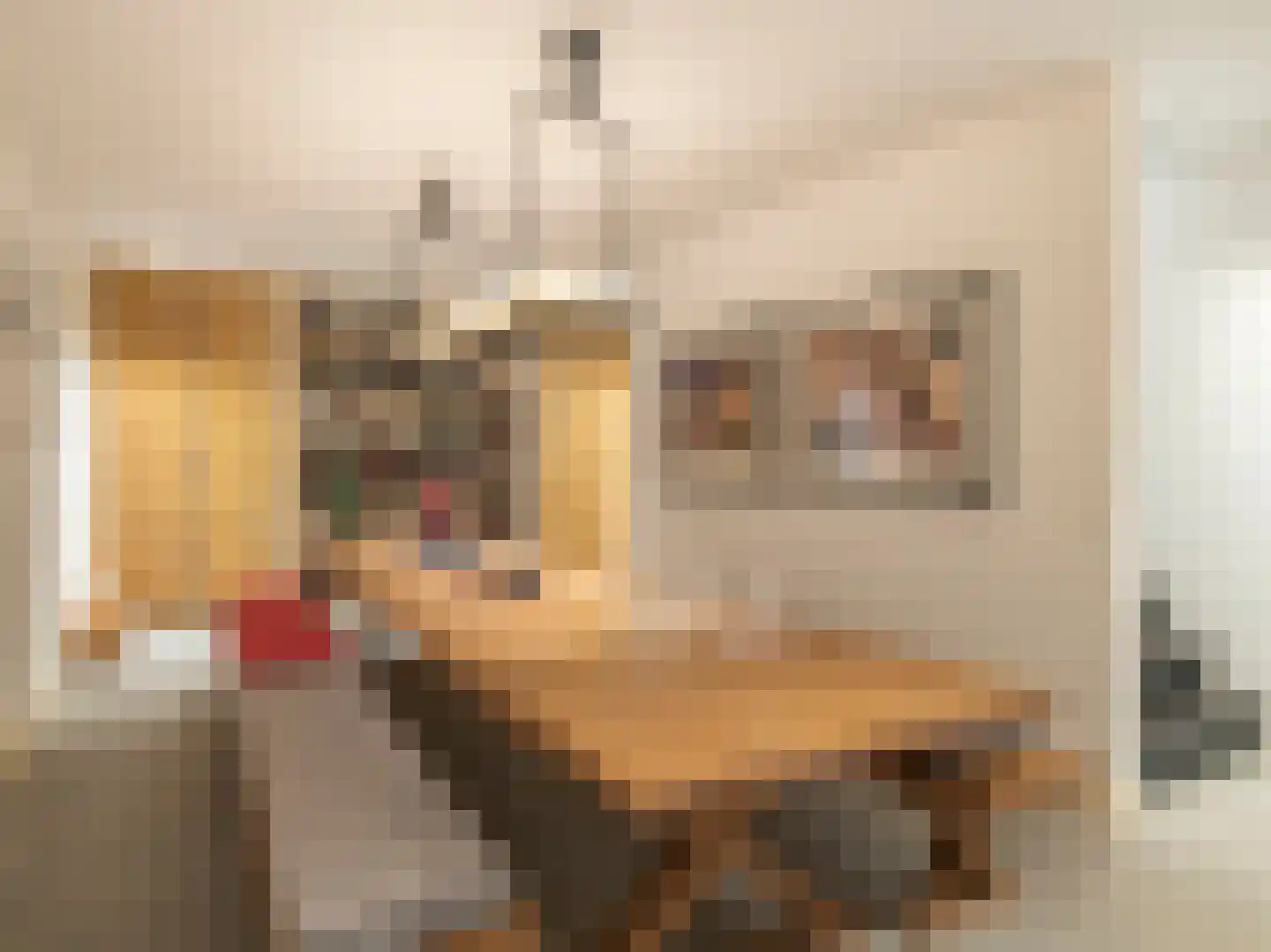 Piet Lanserhof 20 Rijsenhout thumbnail 21