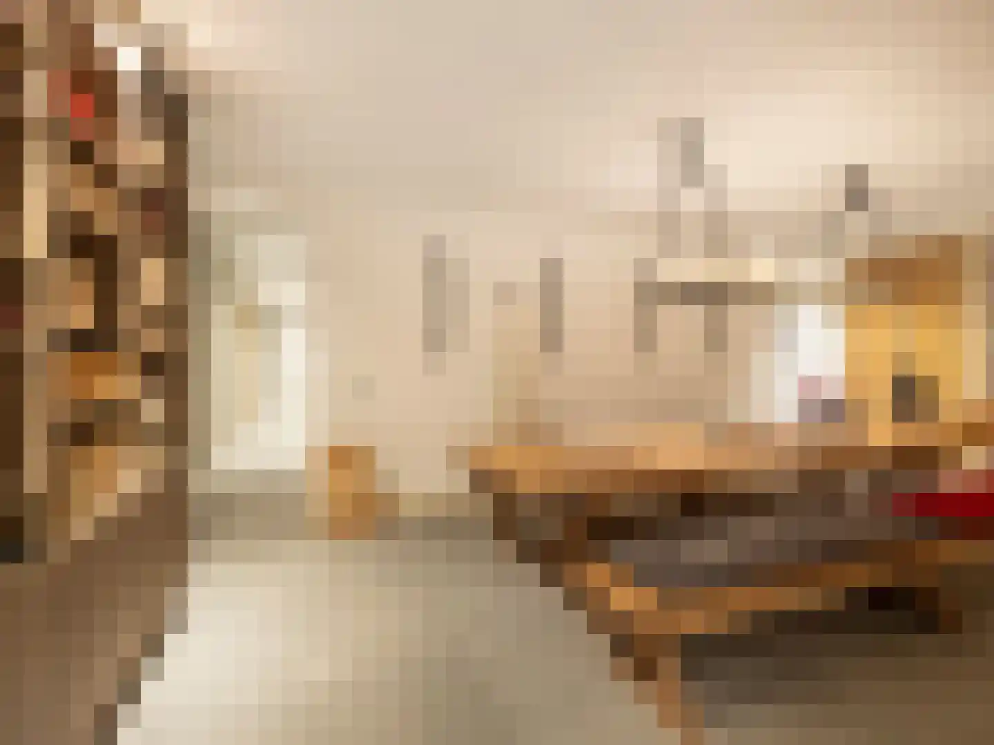Piet Lanserhof 20 Rijsenhout thumbnail 22