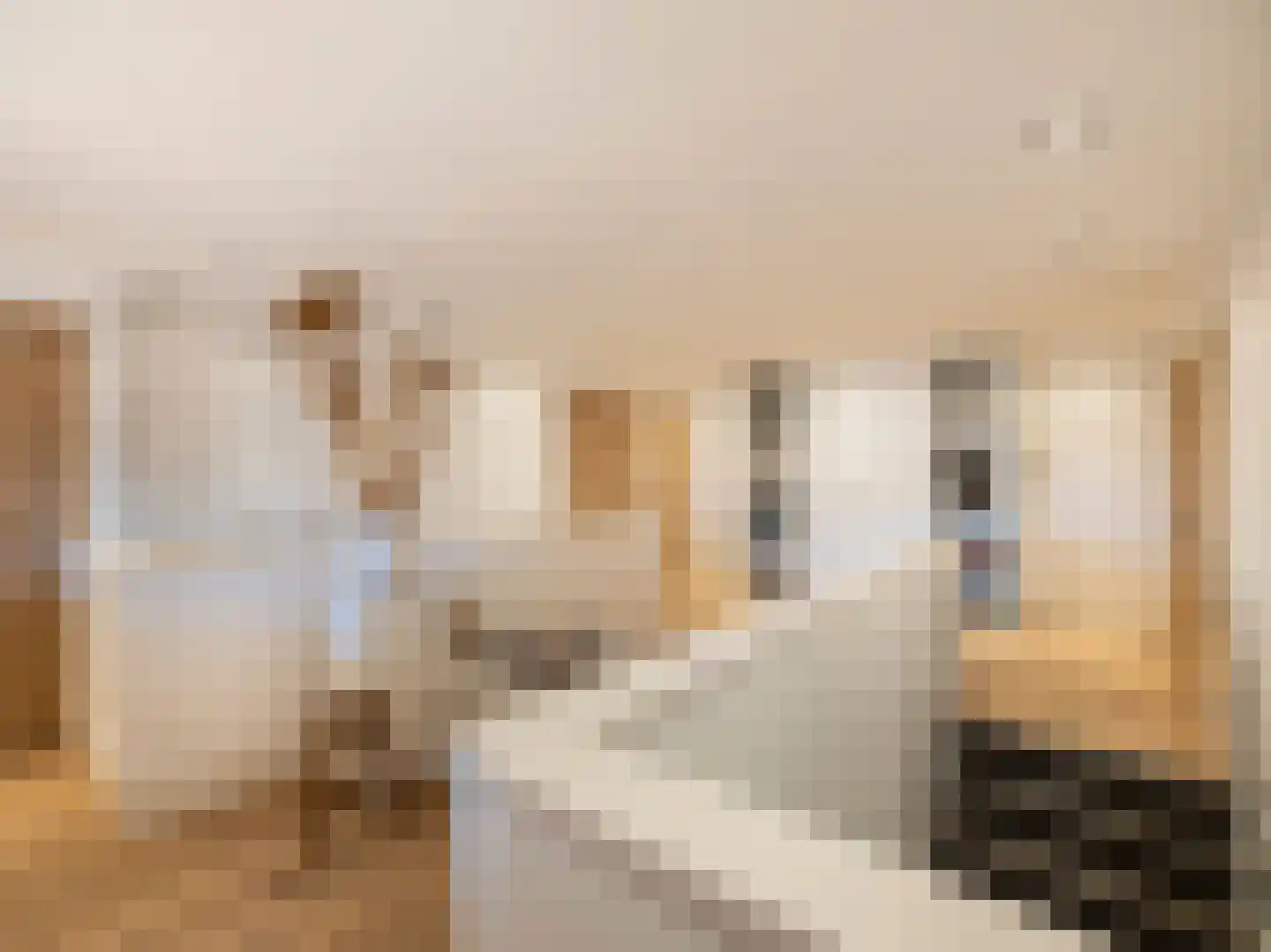 Piet Lanserhof 20 Rijsenhout thumbnail 27
