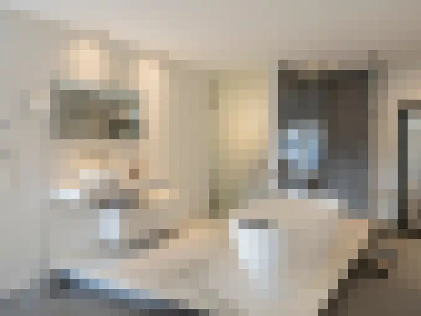 Piet Lanserhof 20 Rijsenhout thumbnail 38