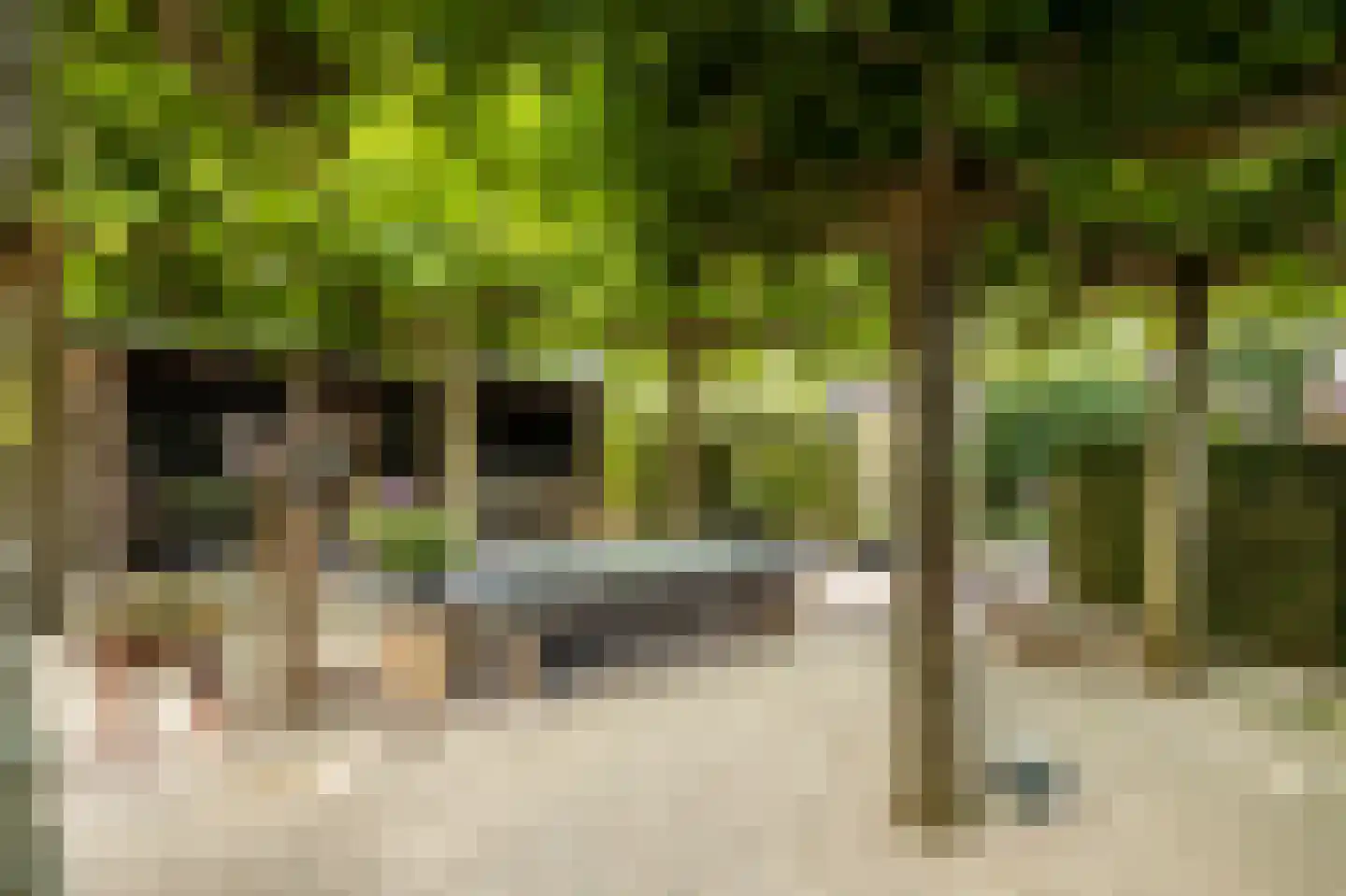 Piet Lanserhof 20 Rijsenhout thumbnail 6
