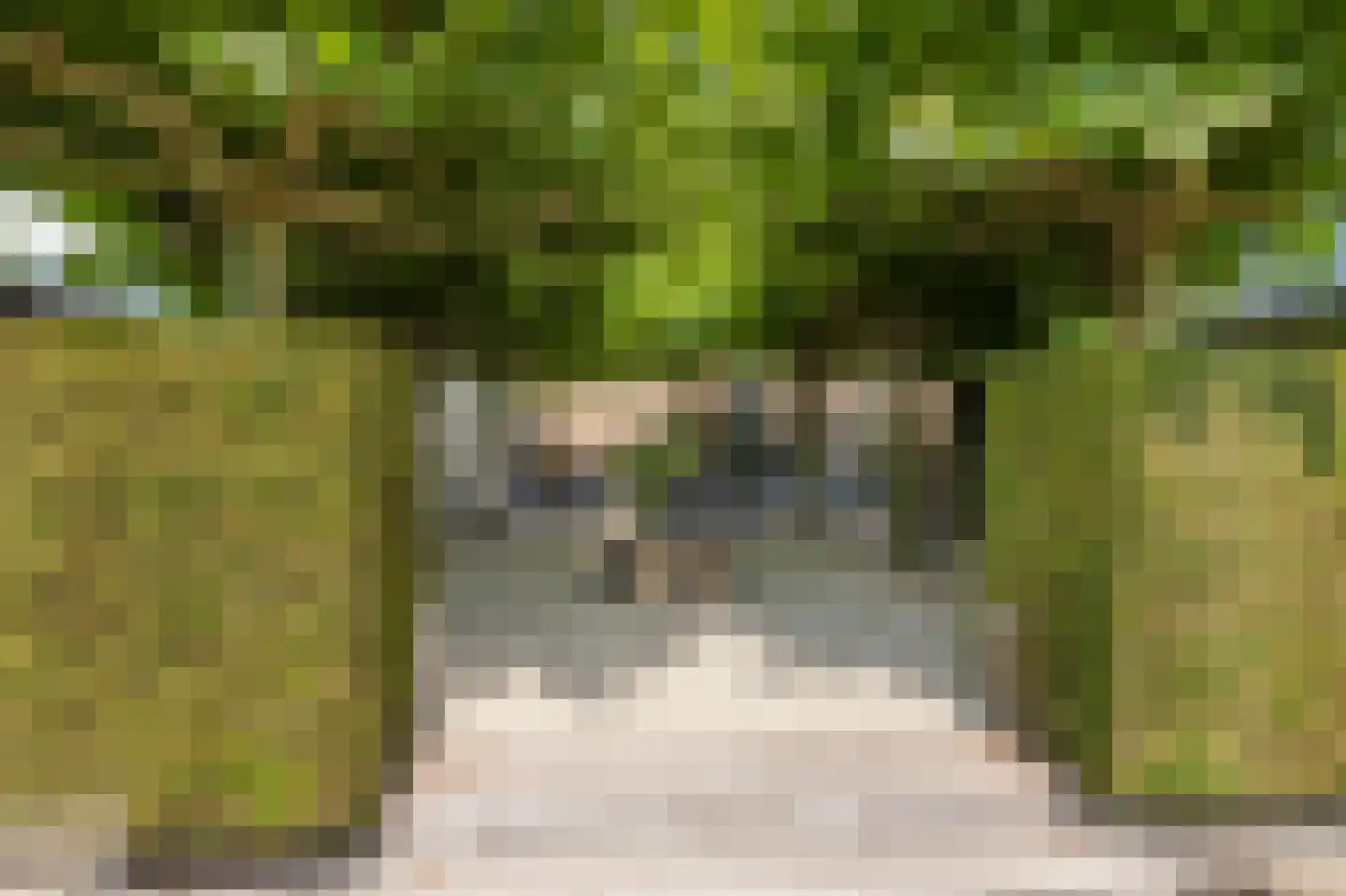 Piet Lanserhof 20 Rijsenhout thumbnail 7