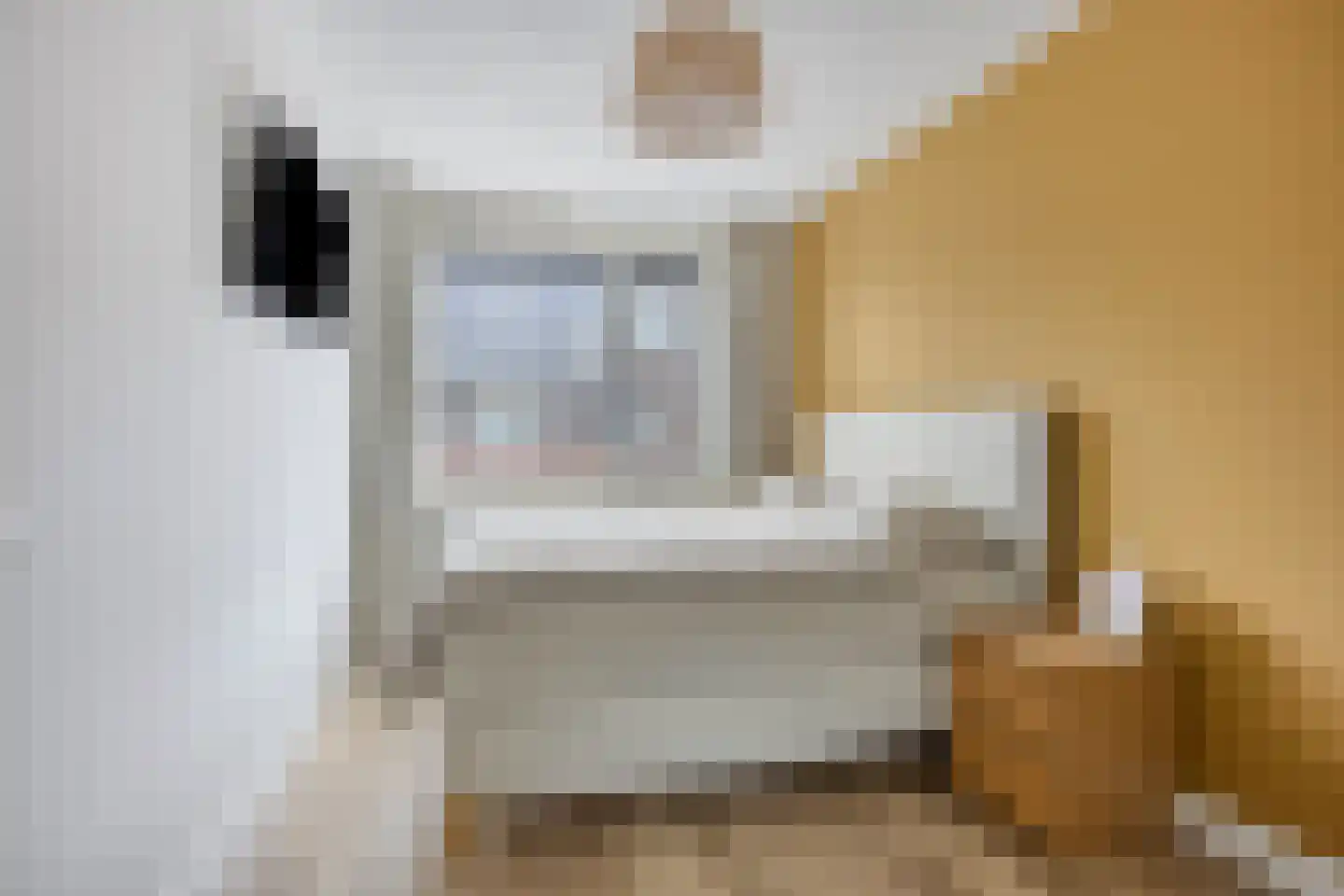 Piet Lanserhof 33 Rijsenhout thumbnail 18