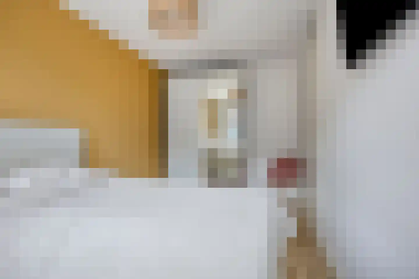 Piet Lanserhof 33 Rijsenhout thumbnail 19