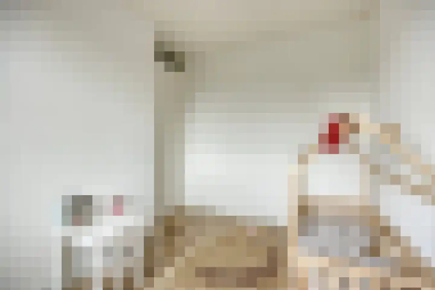 Piet Lanserhof 33 Rijsenhout thumbnail 23