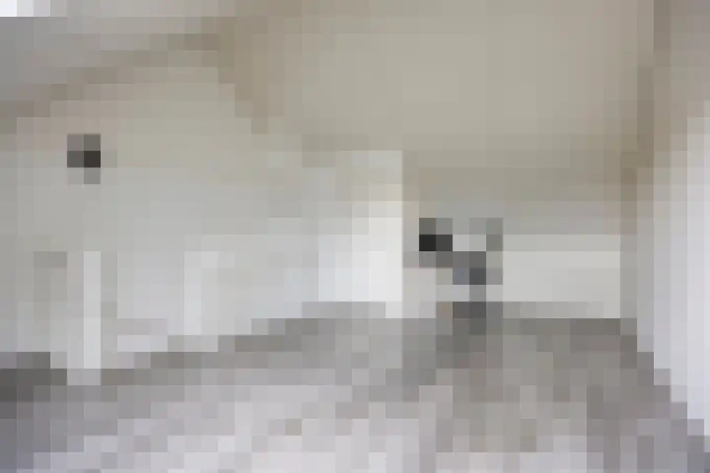 Piet Lanserhof 33 Rijsenhout thumbnail 26