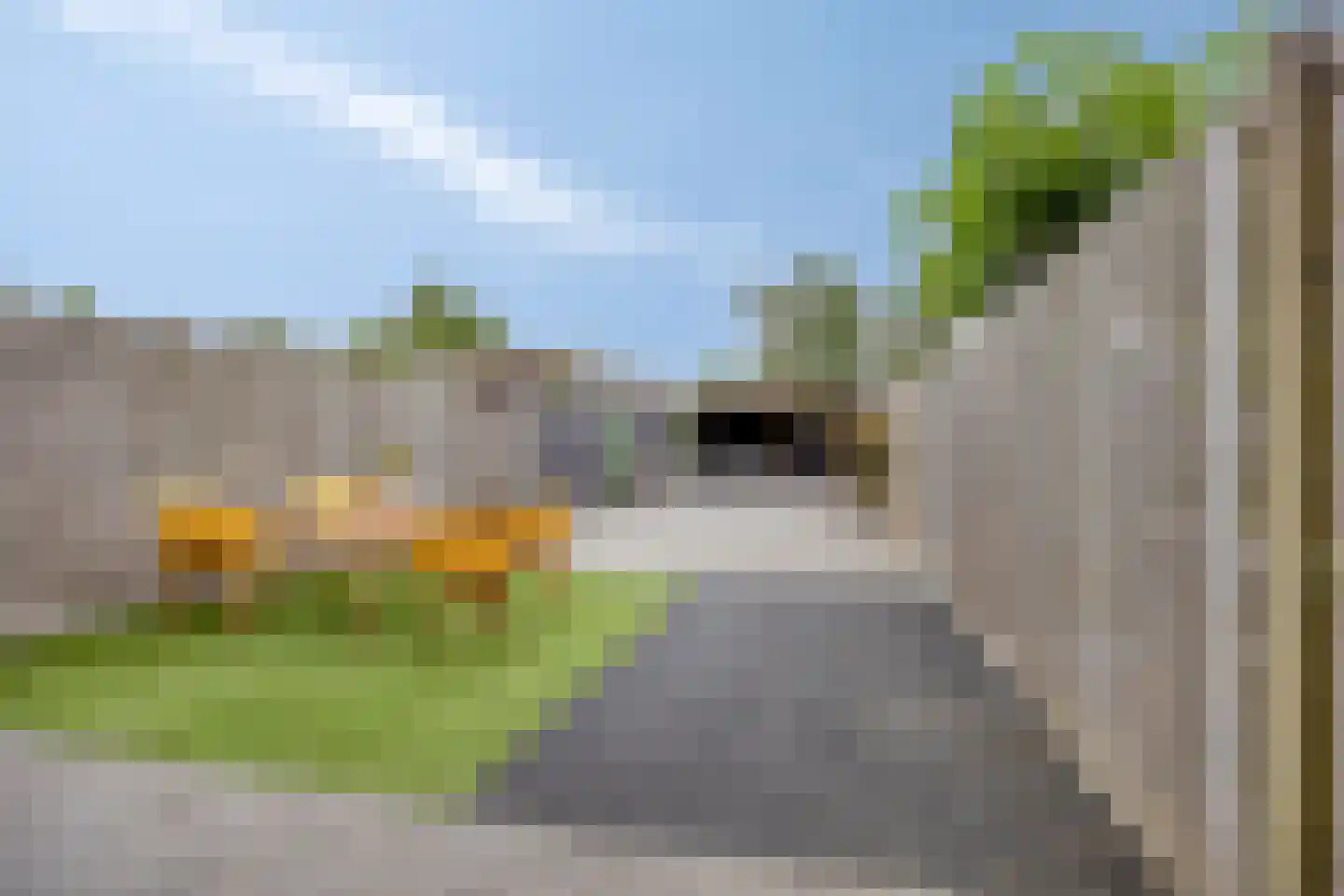 Piet Lanserhof 33 Rijsenhout thumbnail 27