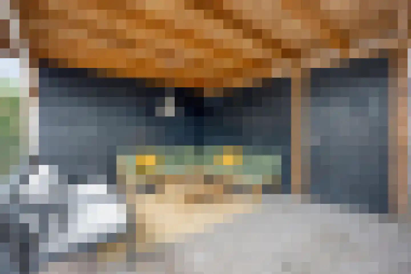 Piet Lanserhof 33 Rijsenhout thumbnail 29