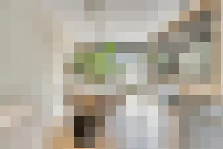 Piet Lanserhof 45 Rijsenhout thumbnail 12