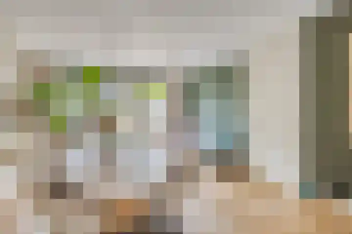 Piet Lanserhof 45 Rijsenhout thumbnail 13