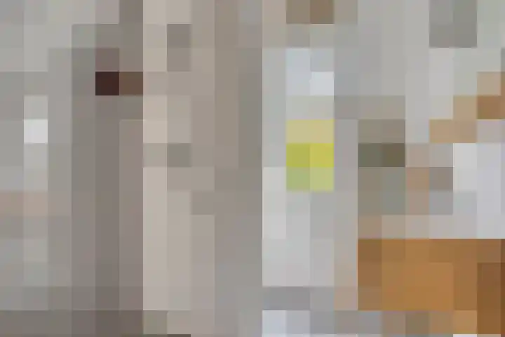 Piet Lanserhof 45 Rijsenhout thumbnail 17