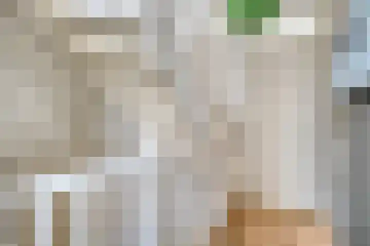 Piet Lanserhof 45 Rijsenhout thumbnail 20