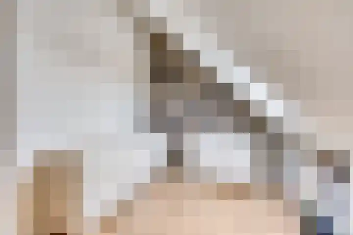 Piet Lanserhof 45 Rijsenhout thumbnail 21