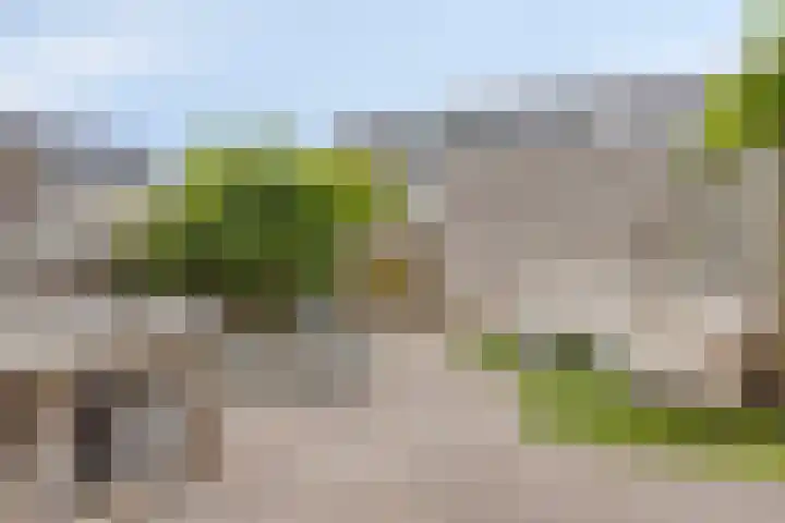 Piet Lanserhof 45 Rijsenhout thumbnail 4