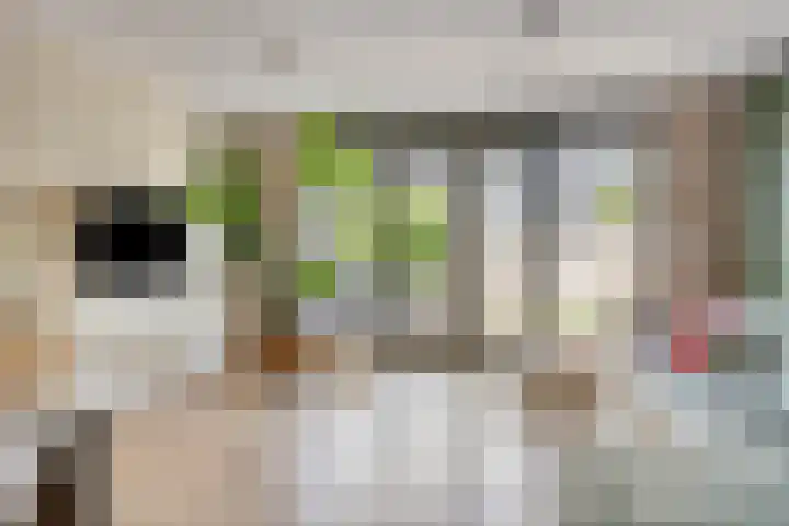 Piet Lanserhof 45 Rijsenhout thumbnail 6