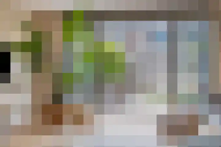 Piet Lanserhof 45 Rijsenhout thumbnail 7