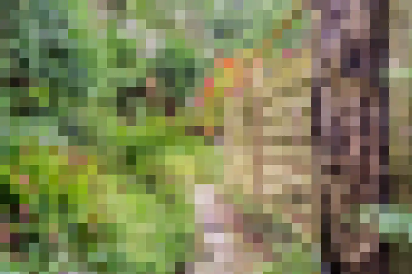 Piet Moeskopsstraat 6 Den Haag thumbnail 17