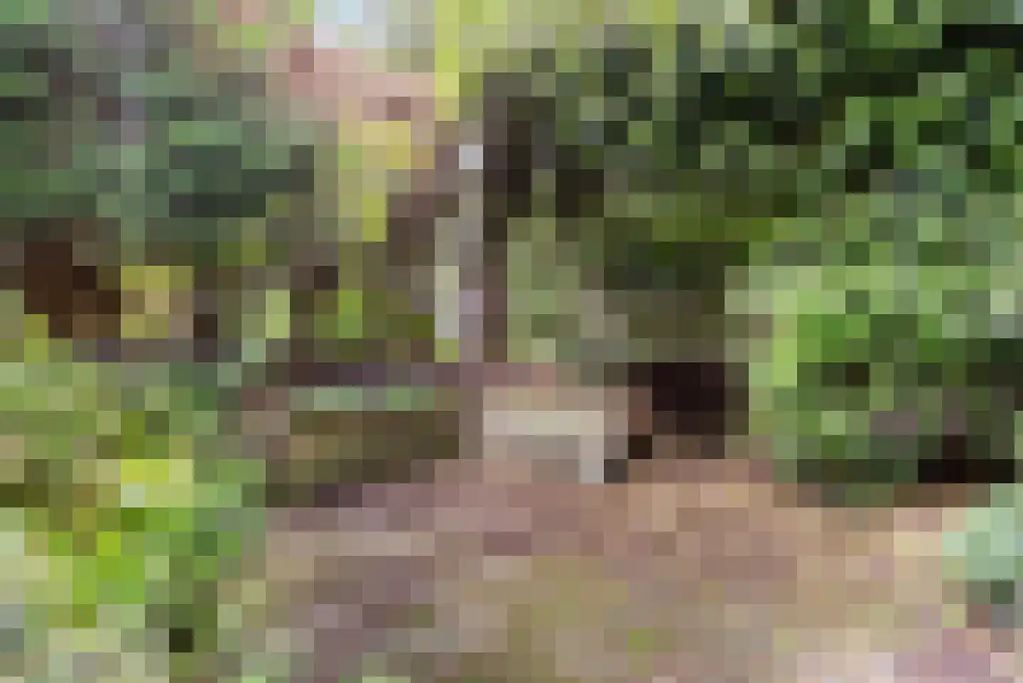 Piet Moeskopsstraat 6 Den Haag thumbnail 20