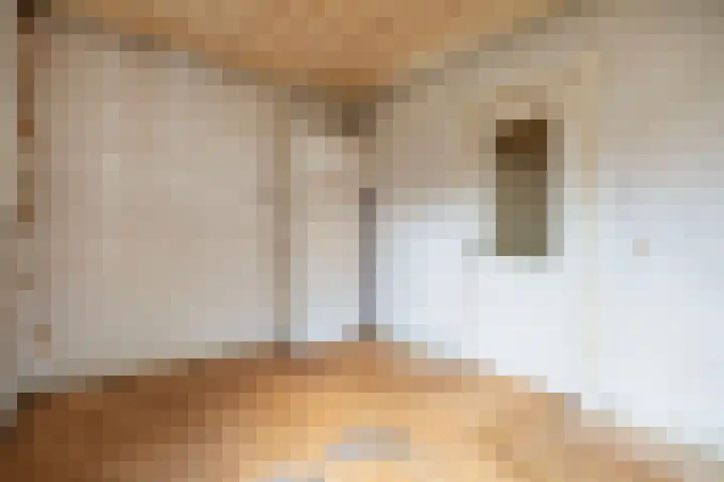 Piet Moeskopsstraat 6 Den Haag thumbnail 21