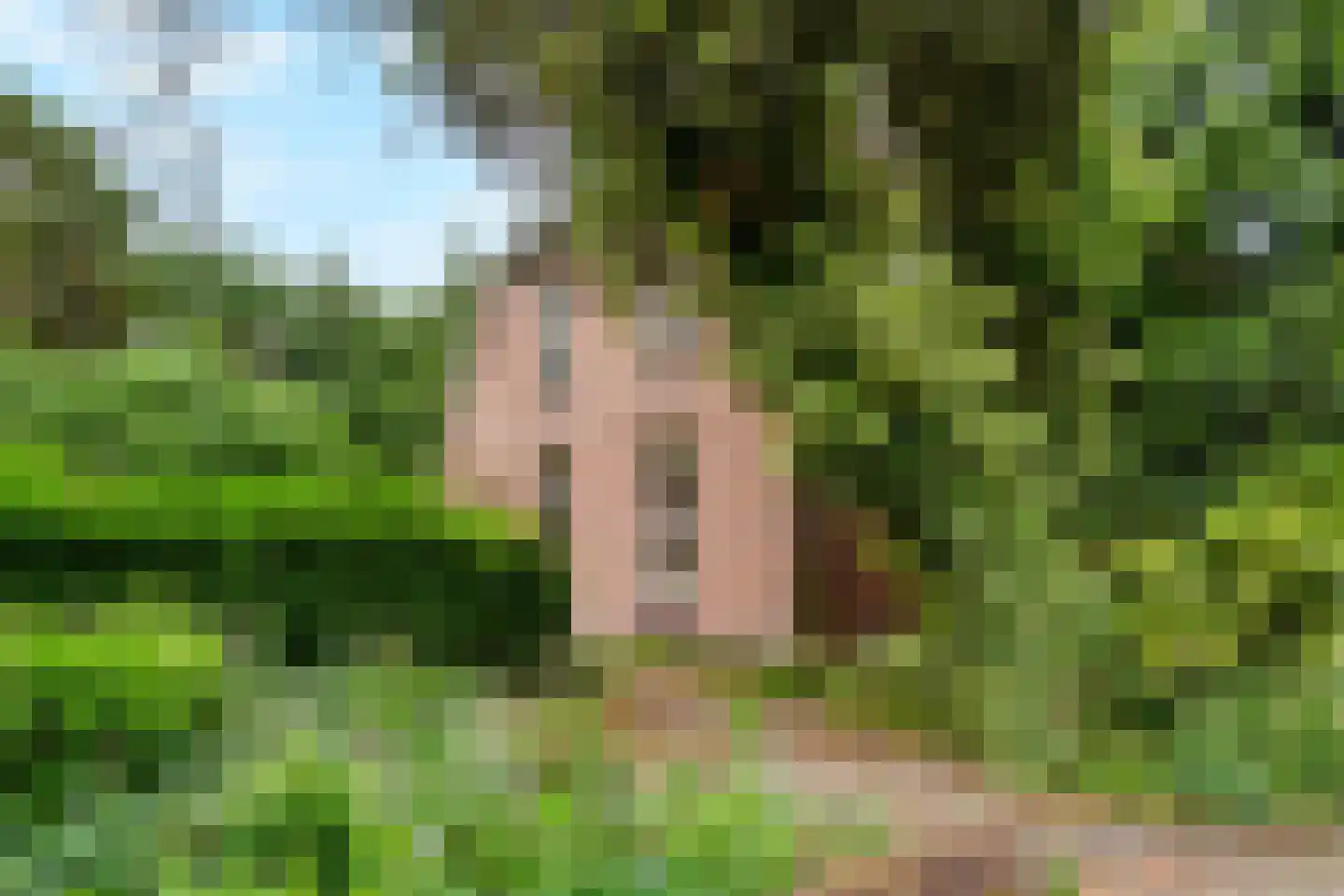 Piet Moeskopsstraat 6 Den Haag thumbnail 36