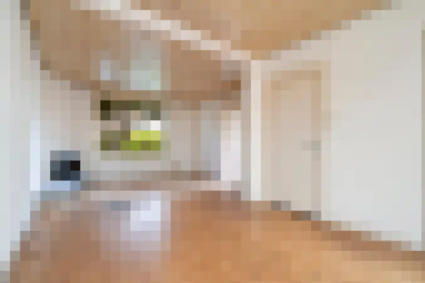 Piet Moeskopsstraat 6 Den Haag thumbnail 4