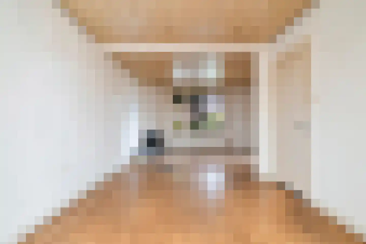 Piet Moeskopsstraat 6 Den Haag thumbnail 5